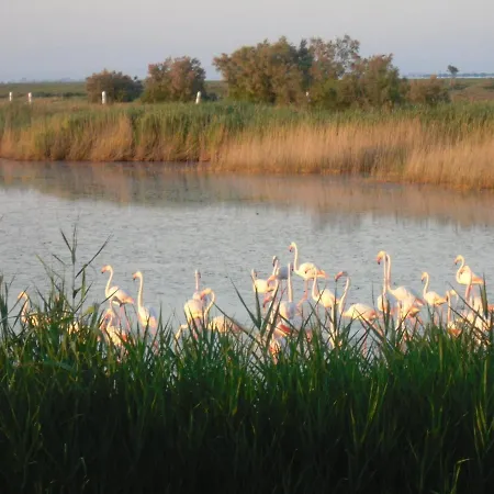 Les Flamants, Climatisation, Avec Vue Imprenable Sur Les Etangs, Petit Dejeuner Offert Bed and Breakfast *