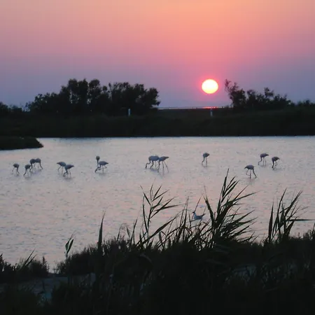 Les Flamants, Climatisation, Avec Vue Imprenable Sur Les Etangs, Petit Dejeuner Offert *