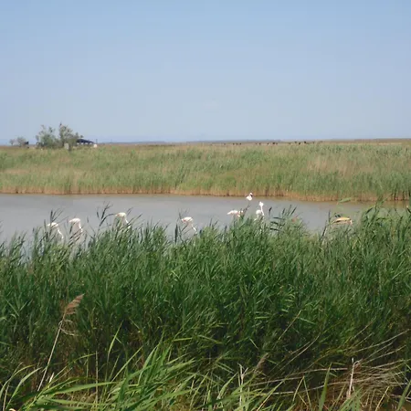 Les Flamants, Climatisation, Avec Vue Imprenable Sur Les Etangs, Petit Dejeuner Offert Bed and Breakfast *